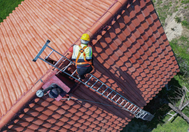 Best Metal Roofing Installation  in Alba, NY