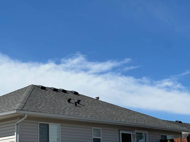 Best 4 Ply Roofing  in Alba, NY